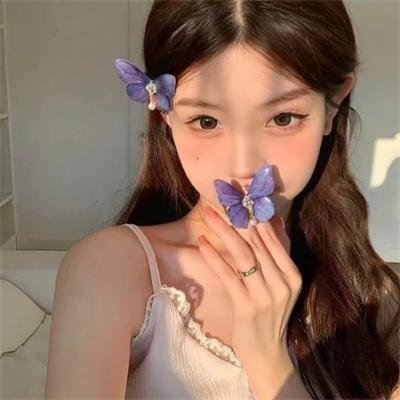 我在中国当农人 海报